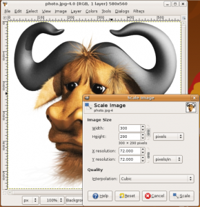 photo_gimp photo_gimp