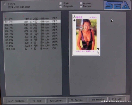 那些曾伴我走过编程之路的软件